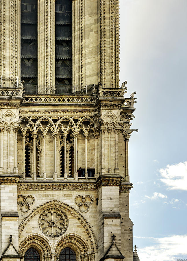 Notre-Dame Gargoyles 01 Photograph by Weston Westmoreland
