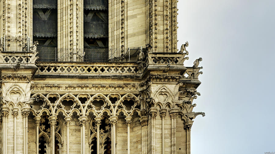 Notre-Dame Gargoyles 04 Photograph by Weston Westmoreland