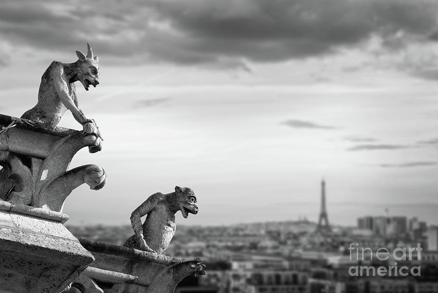 Paris Photograph - Notre Dame gargoyles, Eiffel tower view in Paris by Delphimages Paris Photography