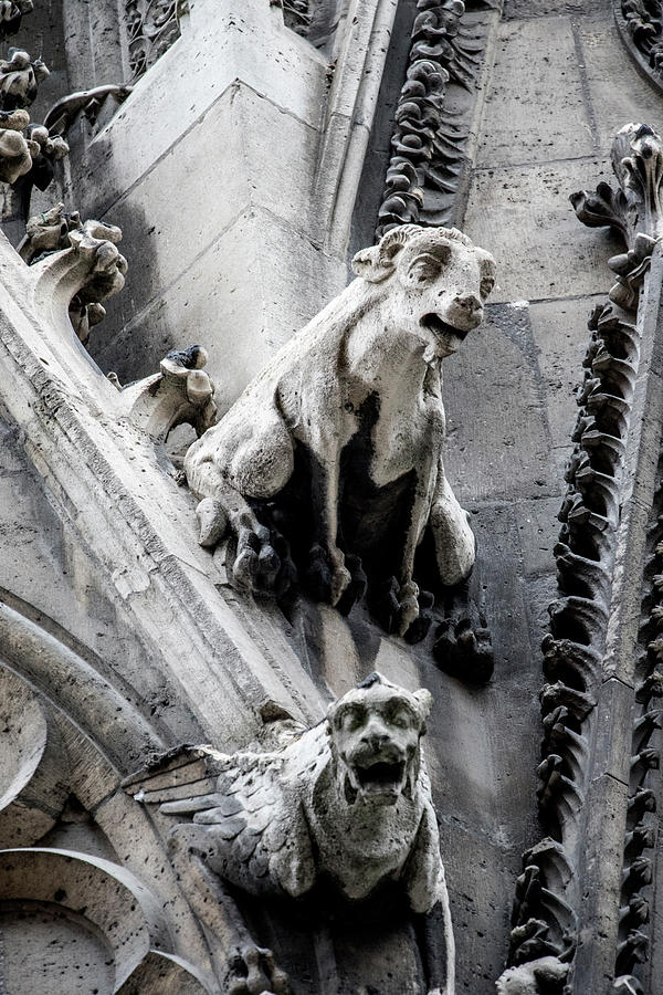 Notre Dame Photograph - Notre Dame Gargoyles by Jean Haynes