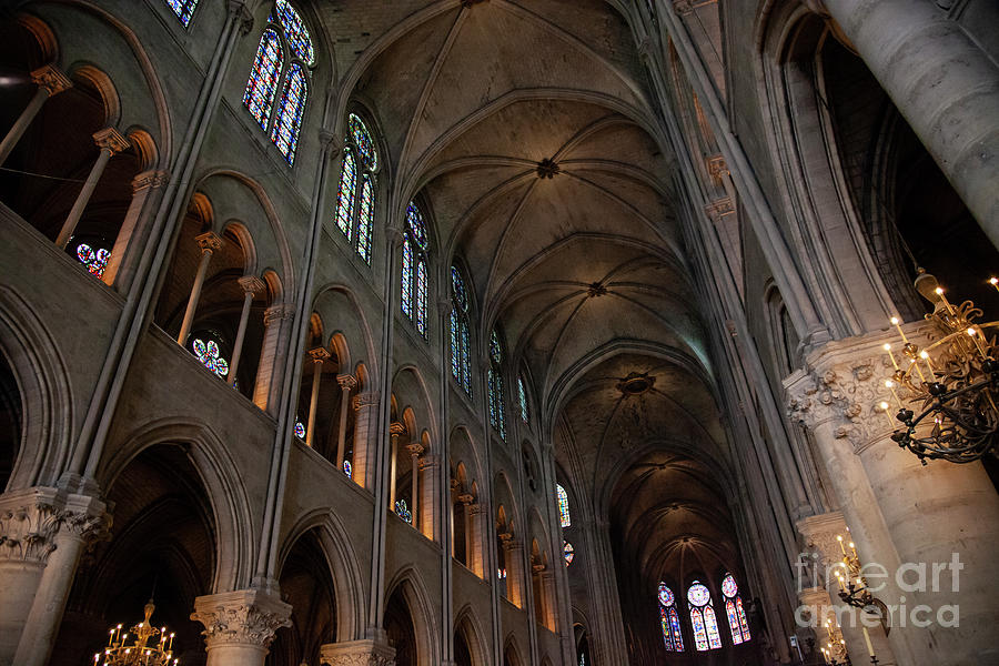 Notre Dame, Paris Photograph by Timothy Johnson