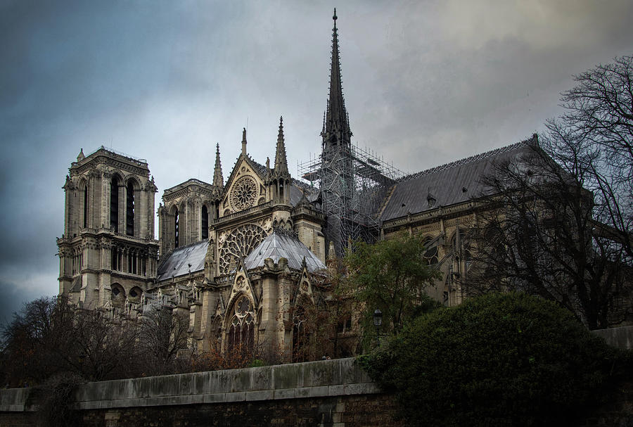Notre Dame Photograph by Rebecca Herranen