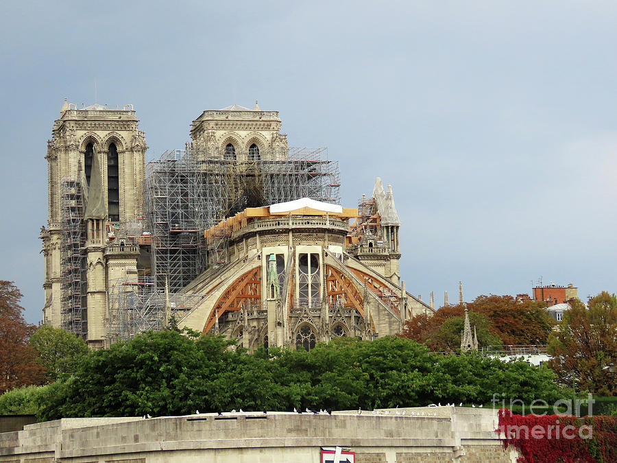 Notre Dame reconstruction  Photograph by Steven Spak