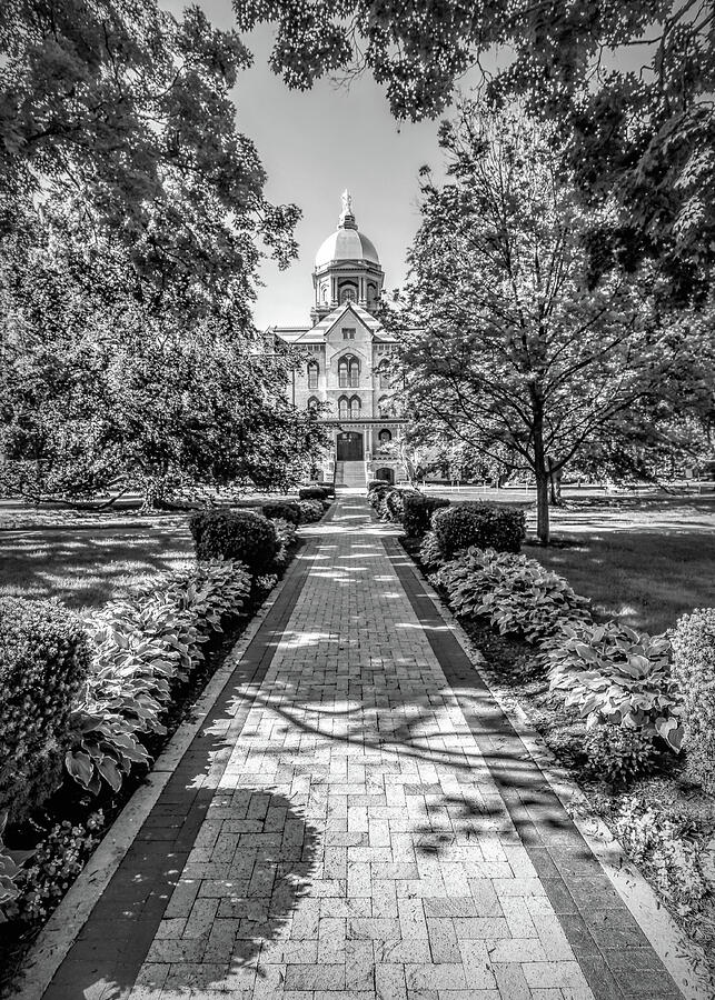 Notre Dame University Black And White Photograph by Dan Sproul Notre Dame University Black And White Photograph by Dan Sproul
