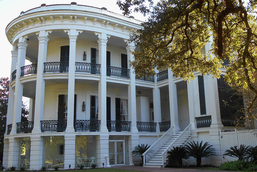 Nottoway Plantation 16 Photograph by Ron Kandt - Fine Art America