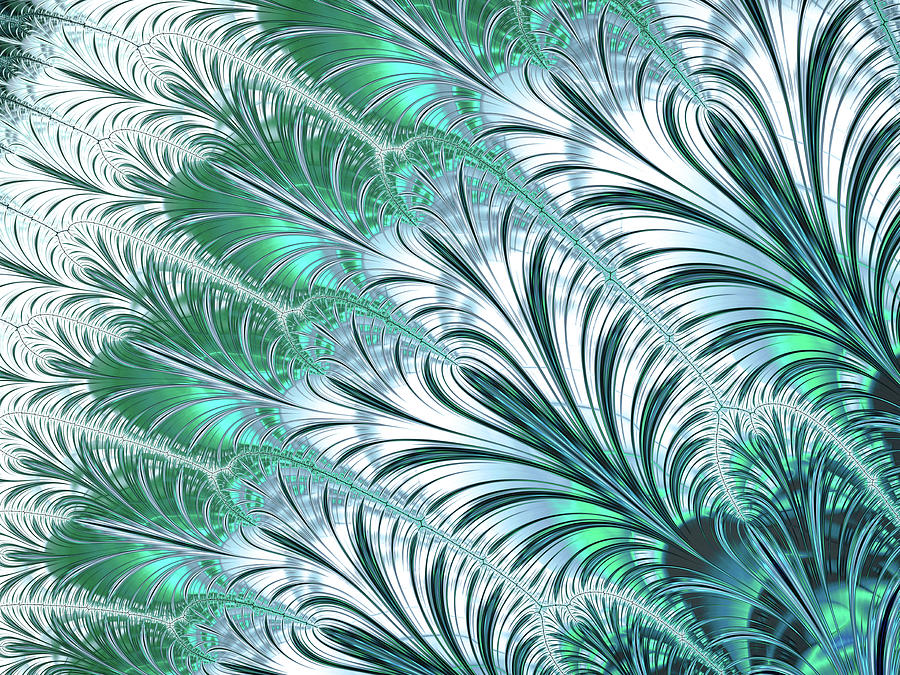 Nouveau Feathers Digital Art by Susan Maxwell Schmidt