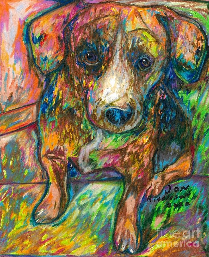 Small Dog Drawing - Nova by Jon Kittleson Small Dog Drawing - Nova by Jon Kittleson