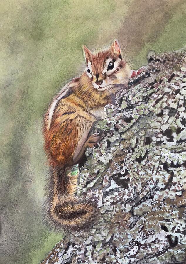 Nova Scotia Chipmunk Painting by Mary-lou Duggan - Fine Art America