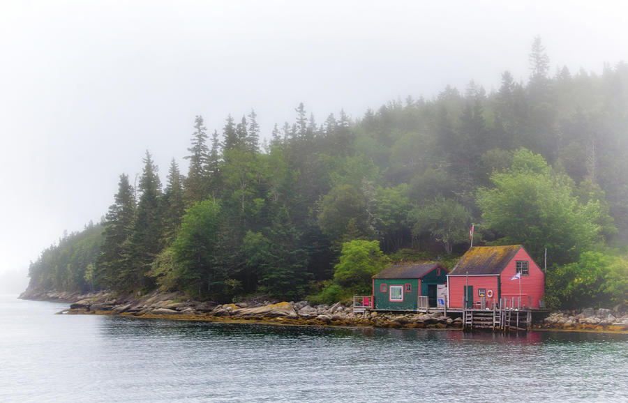 Nova Scotia Foggy Coast Photograph by Carolyn Derstine