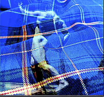 Nova Scotia Seafarer Spirit Digital Art by Claude Theriault Nova Scotia Seafarer Spirit Digital Art by Claude Theriault
