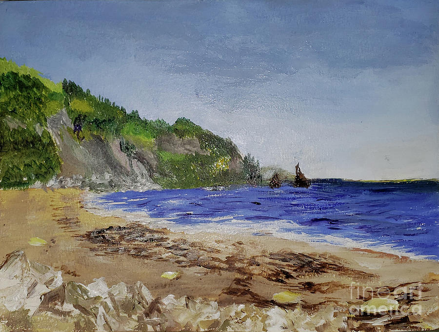 Nova Scotia Shoreline Painting by Donna Walsh