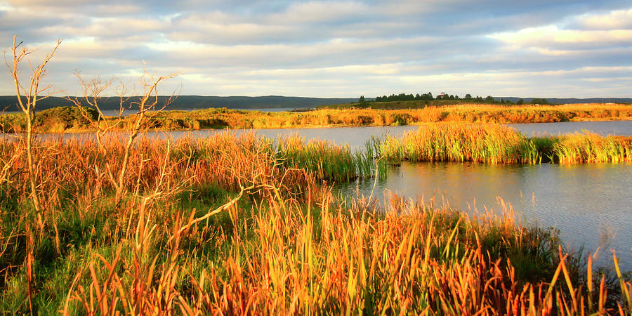 Nova Scotia wetlands at fall Photograph by Tatiana Travelways