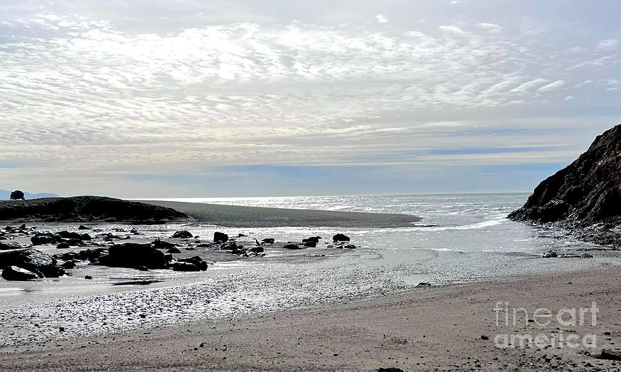 November at the Beach Photograph by Manuelas Camera Obscura