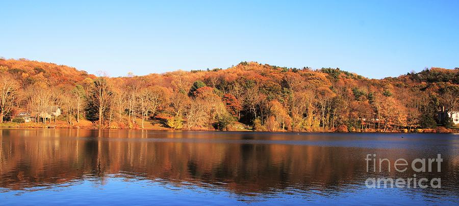 November Colors by Karen Silvestri November Colors by Karen Silvestri