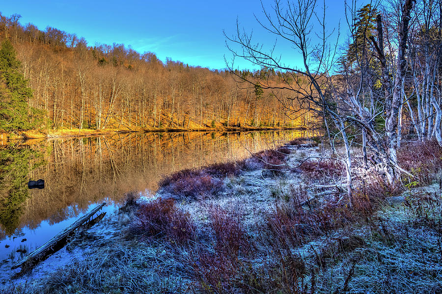November Frost Photograph by David Patterson