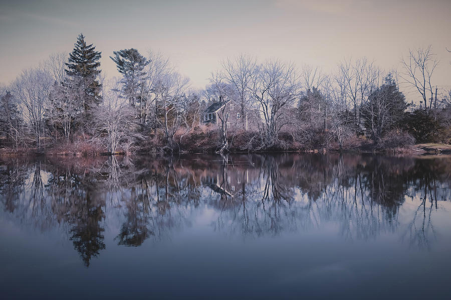 November in New England Photograph by Christina McGoran