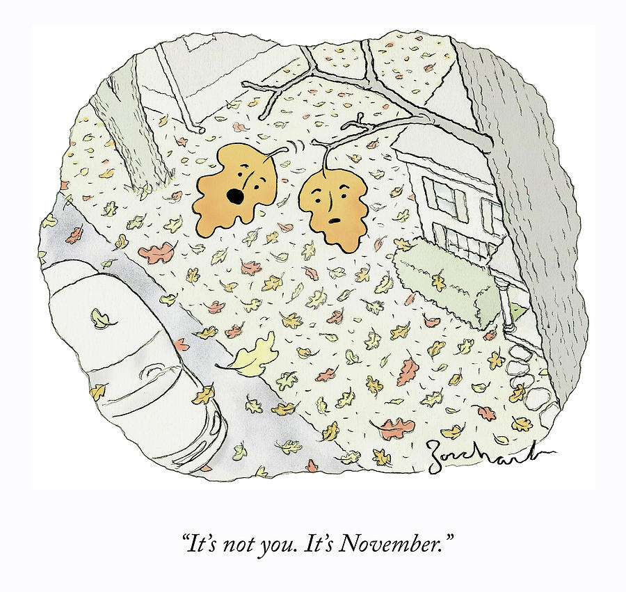 November Leaves Drawing by David Borchart