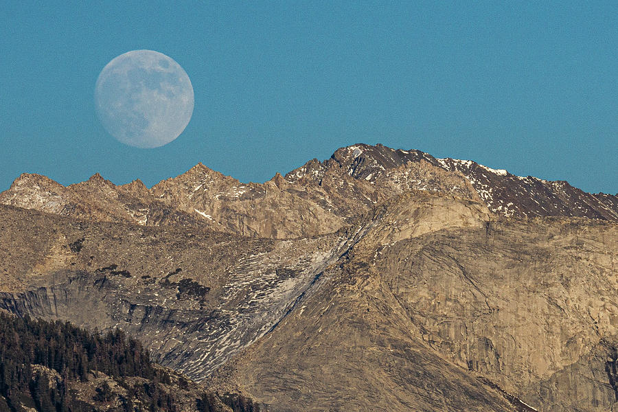 November Moon Rising Photograph by Brett Harvey
