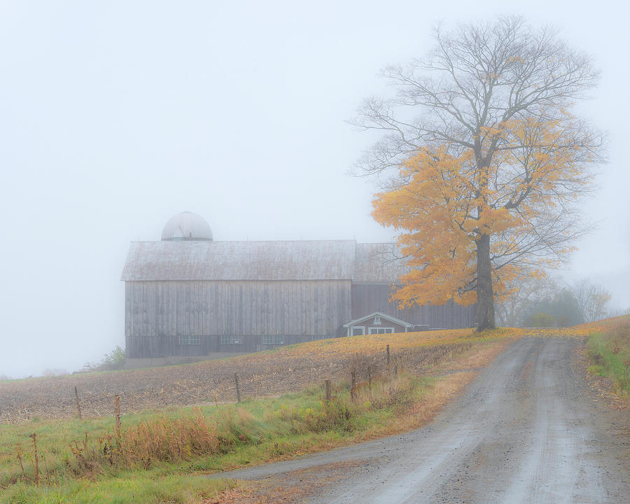 Fall Photograph - November Morning Farmscape by Alan L Graham