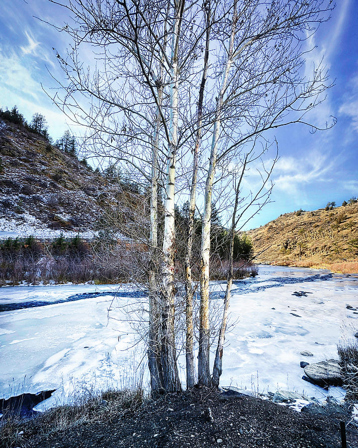 November On Clear Creek In Colorado - landscape photograph Photograph by Ann Powell