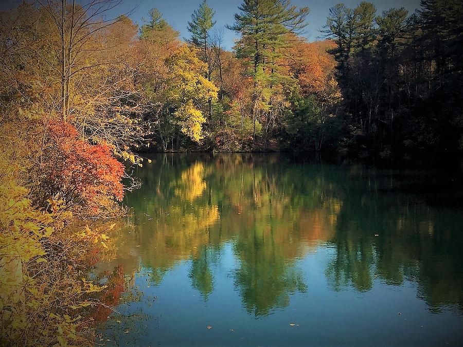 November Reflections at Fuller Lake Photograph by Angela Davies
