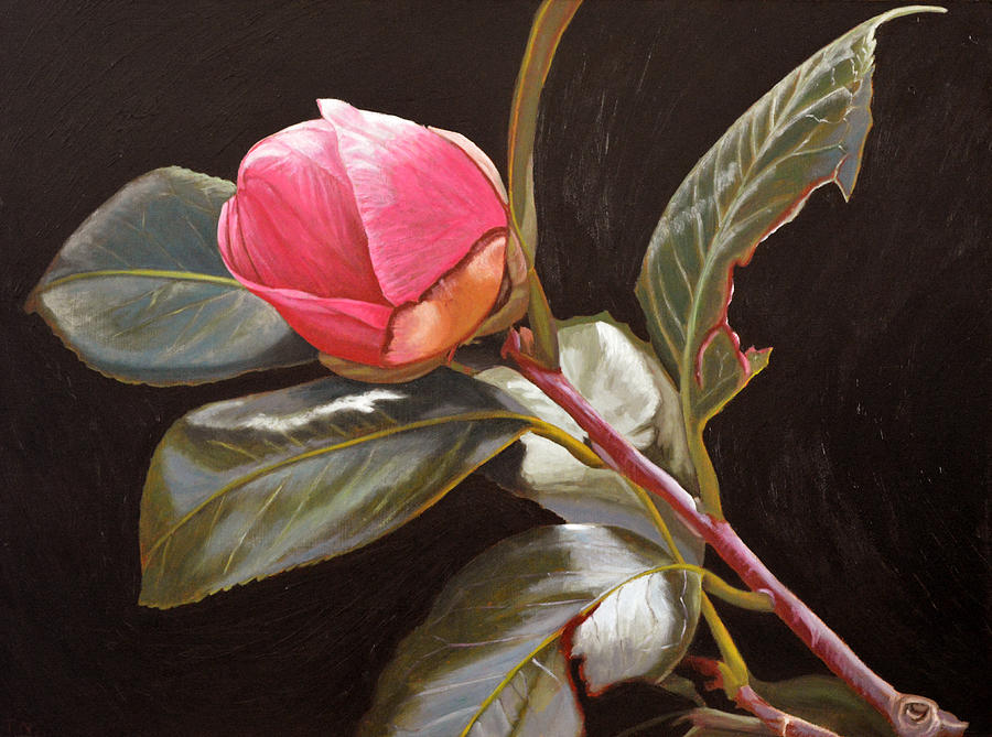 November Rose Painting by Thu Nguyen