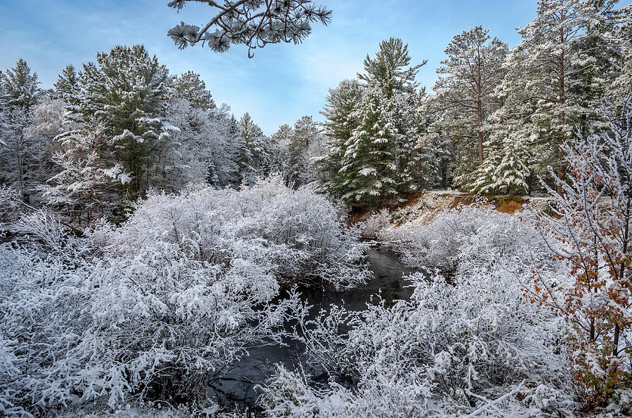 November Snow Photograph by Gary McCormick