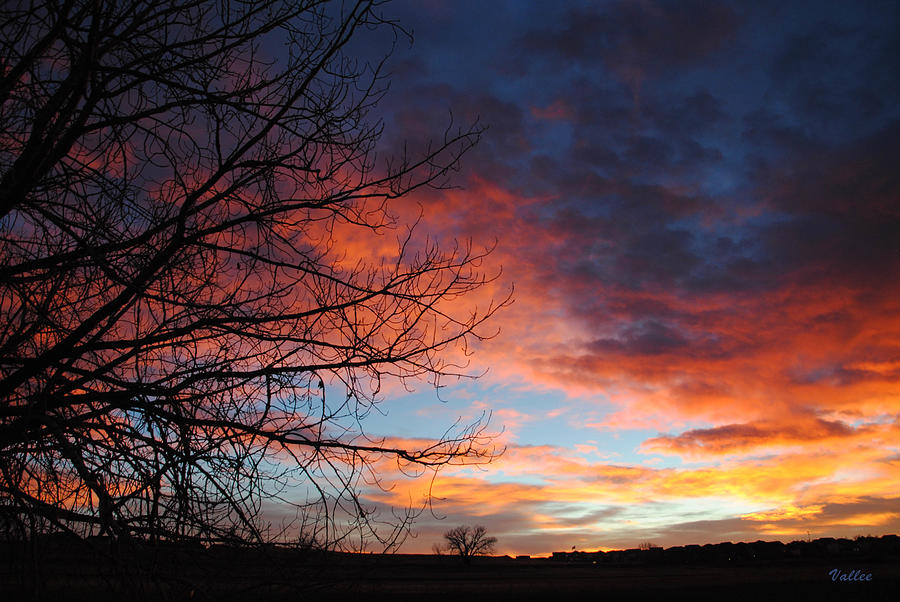 November Sunrise Photograph by Vallee Johnson