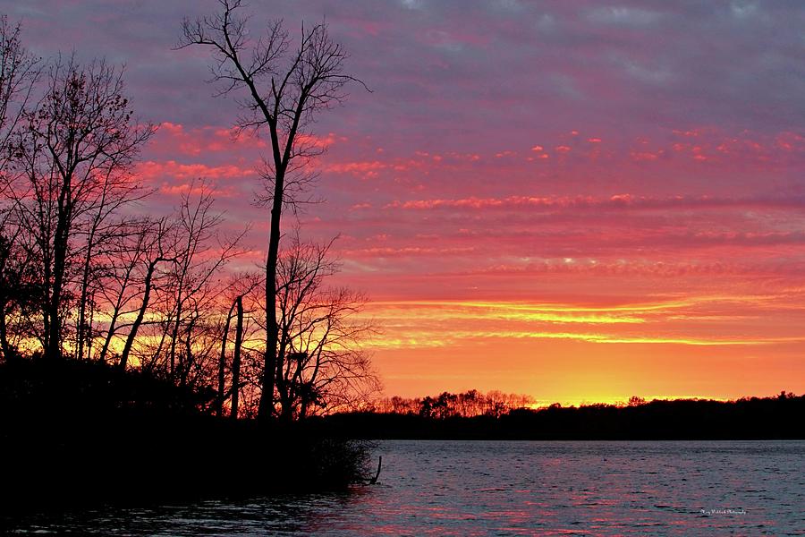 November Sunset Photograph by Mary Walchuck
