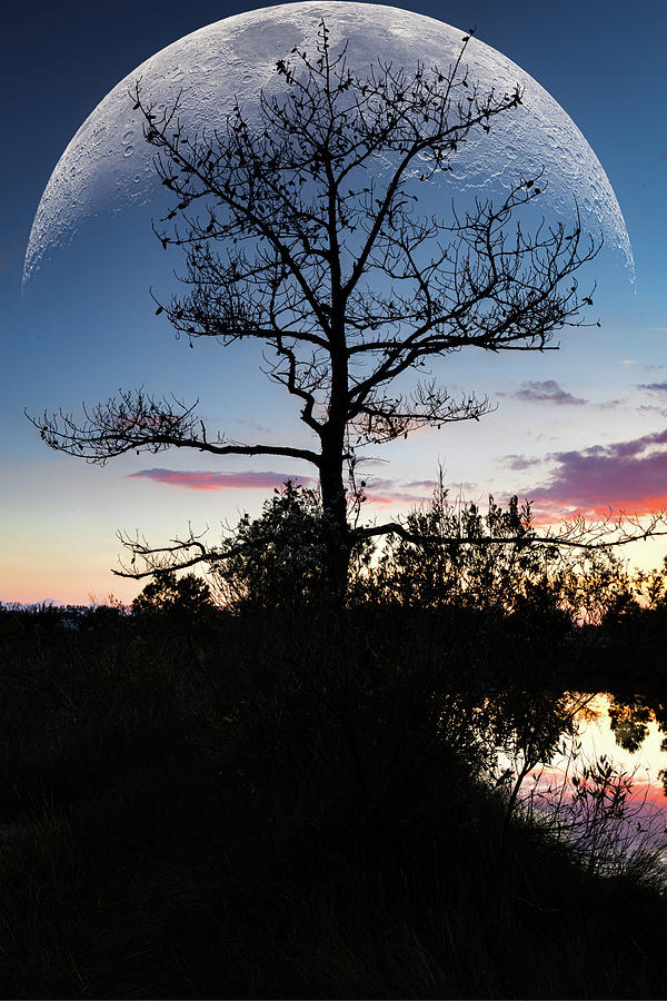 Sunset Photograph - November Sunset by Pete Federico Sunset Photograph - November Sunset by Pete Federico