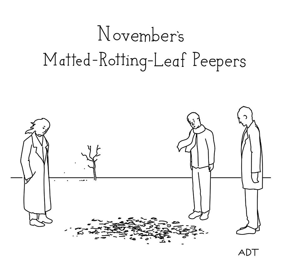 Novembers Matted Rotting Leaf Peepers Drawing by Adam Douglas Thompson