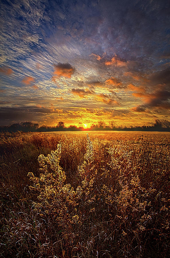 Now and Forever Photograph by Phil Koch