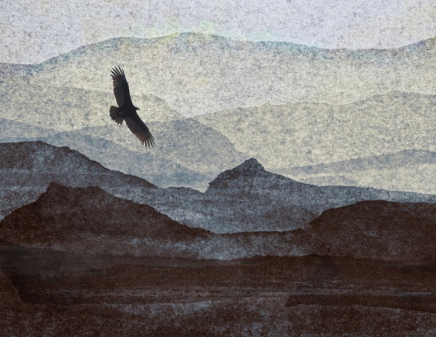 NoWhere Landscape Hawk Digital Art by John Hansen