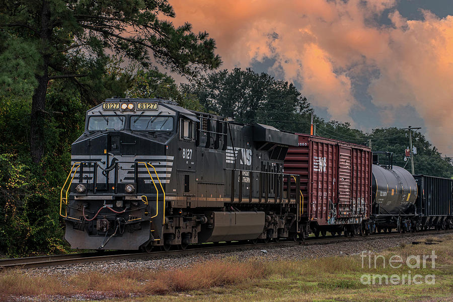 NS 8127 - Charleston - South Carolina  Photograph by Dale Powell