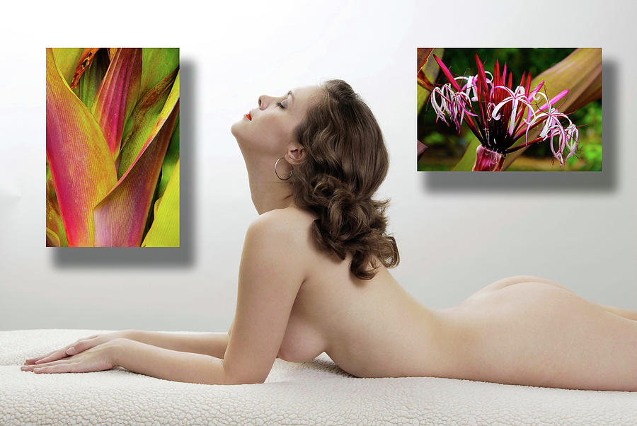 Nude Art Gallery Photograph by Harry Spitz
