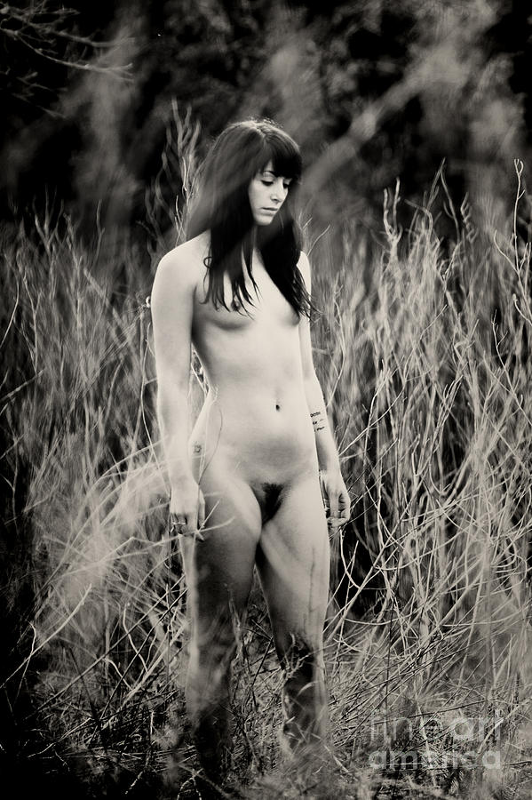 Nude In The Field Photograph By David Gilder Fine Art America