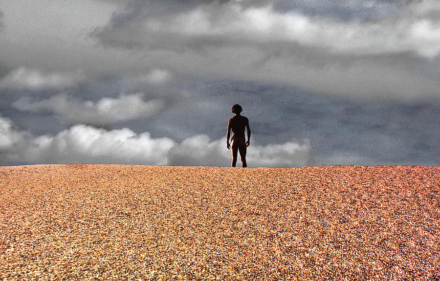 Nude on Pebbled Beach Photograph by Wayne King