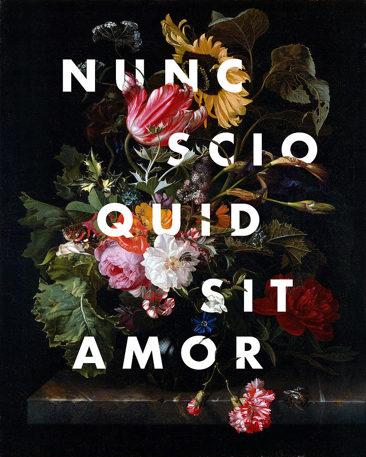 Nunc Scio Quid Sit Amor Digital Art by Georgia Clare