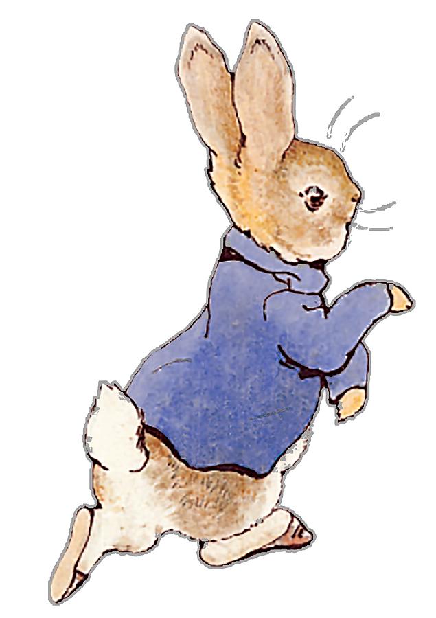 Peter Rabbit Book Characters Home Page Peter Rabbitpeter Rabbit 