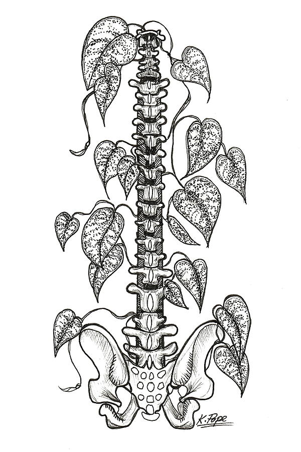 Nurtured Strength Spine Plant Support Drawing by Kenneth Pope