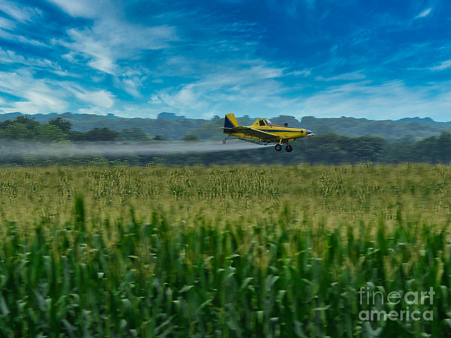 Nurturing a Midwest Harvest Photograph by Robert Turek Fine Art Photography