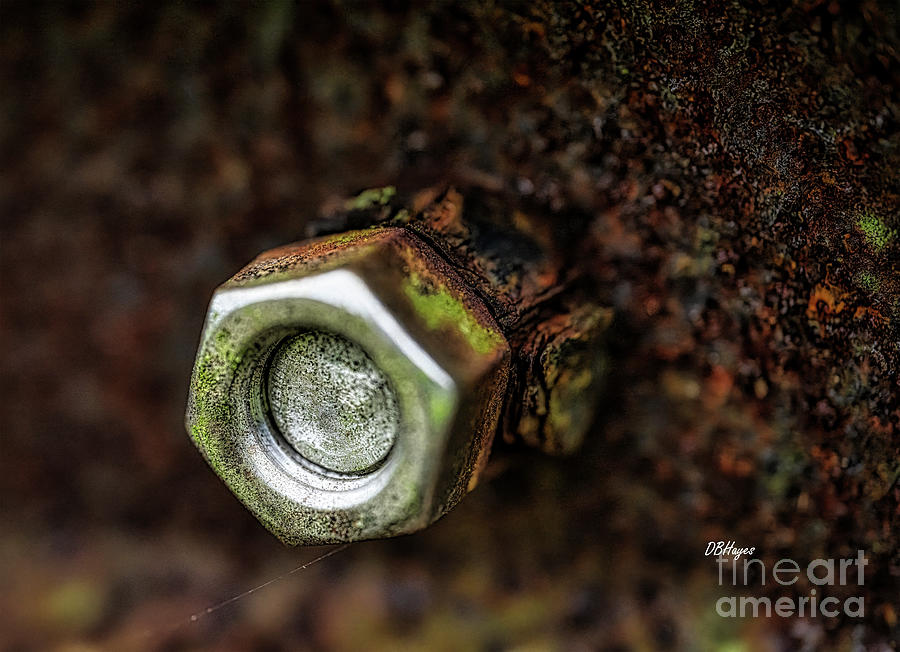Nut-Bolt-Rust-Lifeline Photograph by DB Hayes