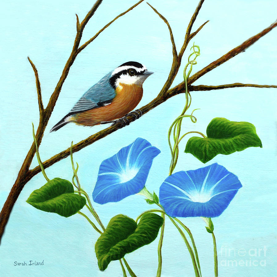 Nuthatch and Morning Glories Painting by Sarah Irland