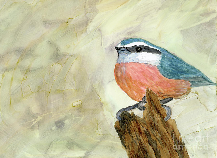 Nuthatch Painting by Julie Greene-Graham