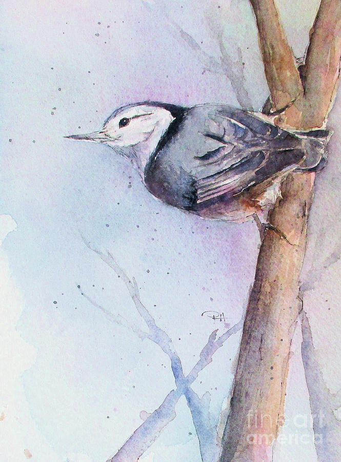 Nuthatch Painting by Patricia Henderson