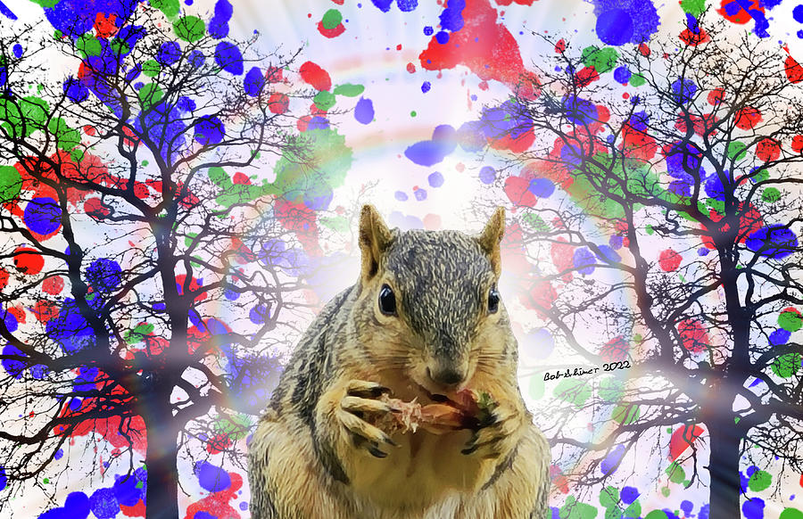 Nuts Digital Art by Bob Shimer
