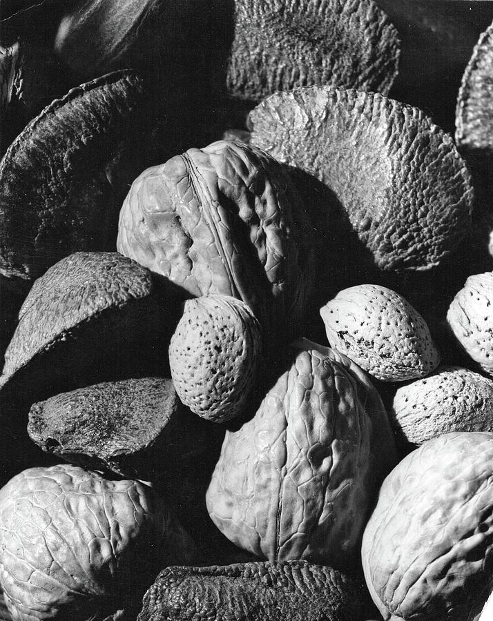 Nuts Photograph by Jim Lambert