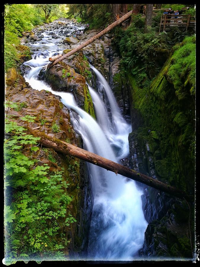 Nutter Butter Flutter Photograph by Erik Rhyne - Fine Art America