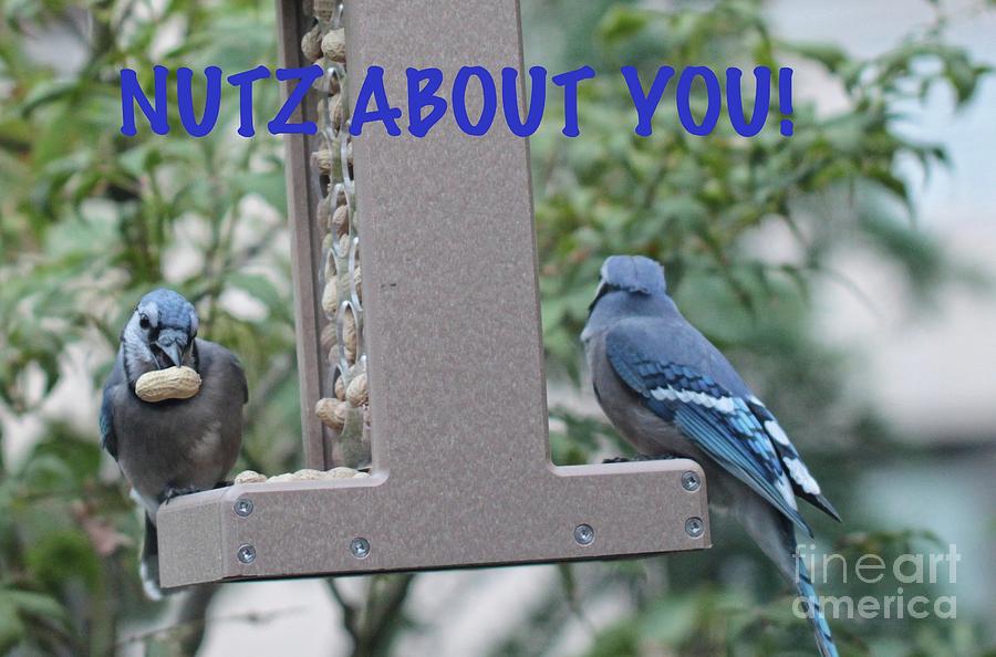 Nutz About You Photograph by Patricia Youngquist