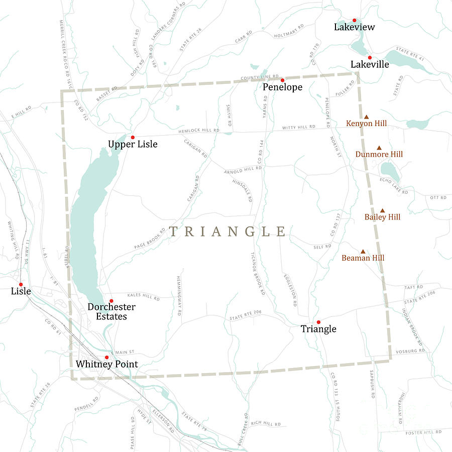 Map Digital Art - NY Broome Triangle Vector Road Map by Frank Ramspott
